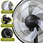 Kenwood 40cm 75W Electric Pedestal Fan – Black (IFP16.100BK)