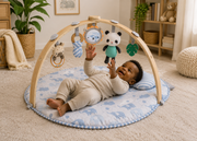 Ingenuity Cozy Spot Activity Gym