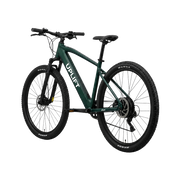 Uplift Mountain E-Bike